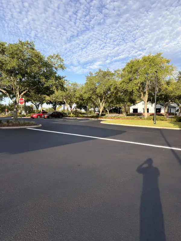 Sealed office park parking lot with fresh white lines and oak trees