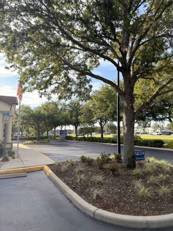 Sealed drive aisle curving past a curbed landscape island in an office park