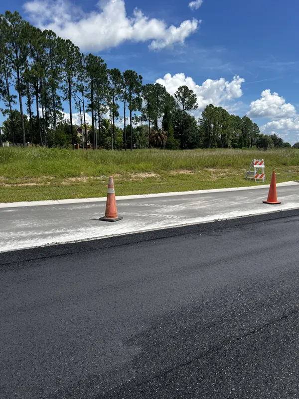Fresh asphalt mat along a road edge with traffic cones and pine trees
