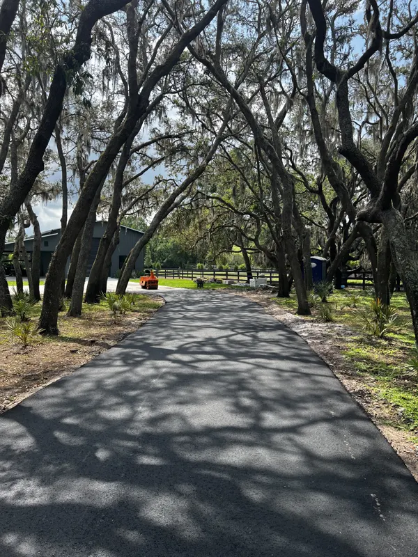 New asphalt driveway under a canopy of live oaks