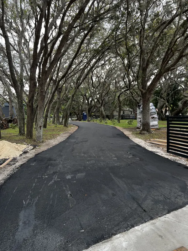 Fresh black asphalt driveway with clean edges under oak trees